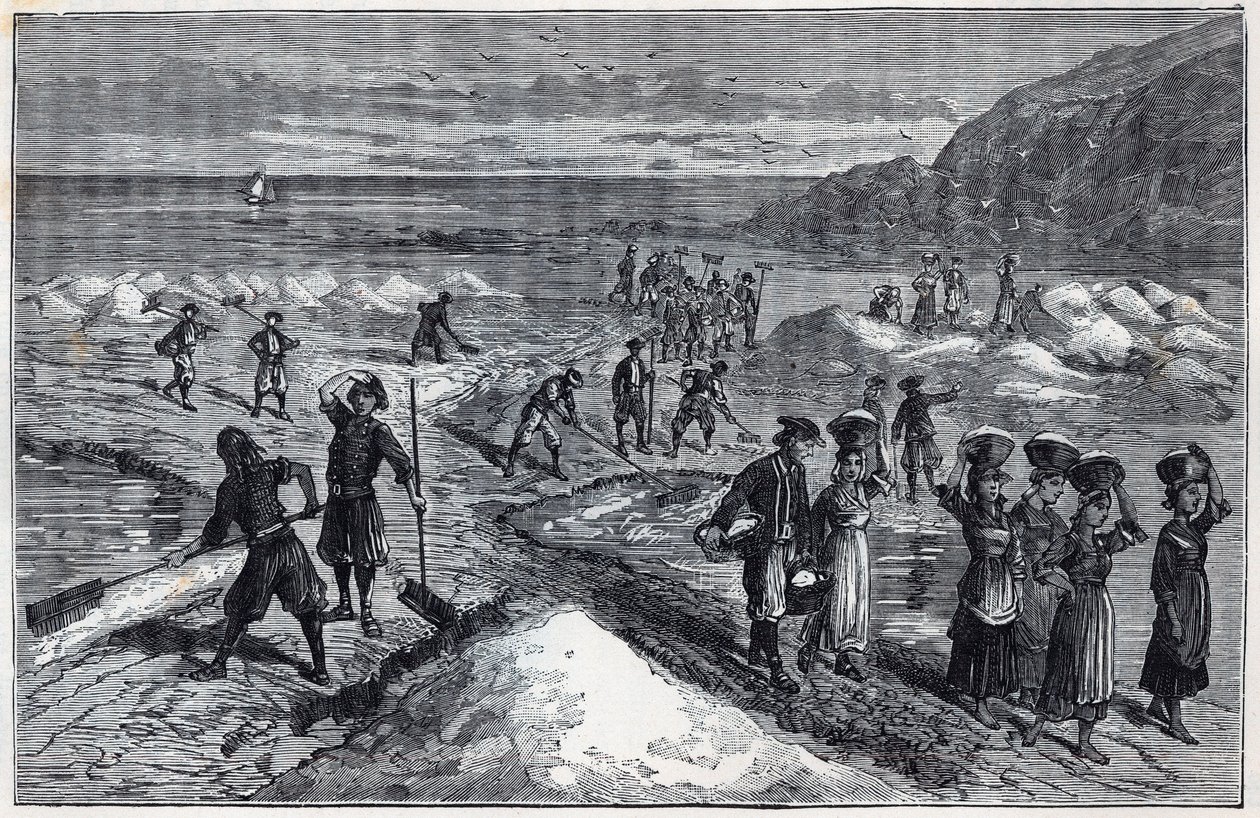 Zoutpannen van Bretagne in de 19e eeuw - Gravure in 
