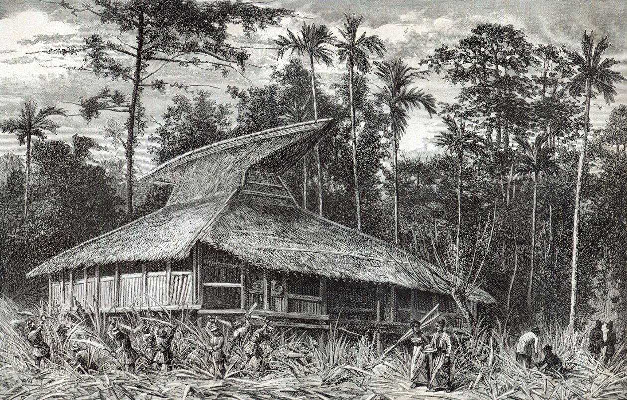 Moskee in Dodinga, Nieuw-Guinea, illustratie uit Le Tour du Monde magazine, 1879 door French School
