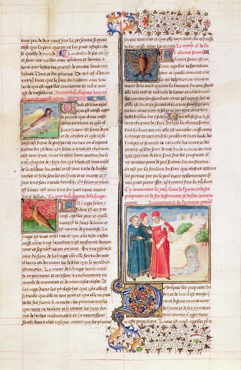 Ms 399 fol.149 De Eigenschappen van de Schildpad, de Hop en de Vleermuis, uit 