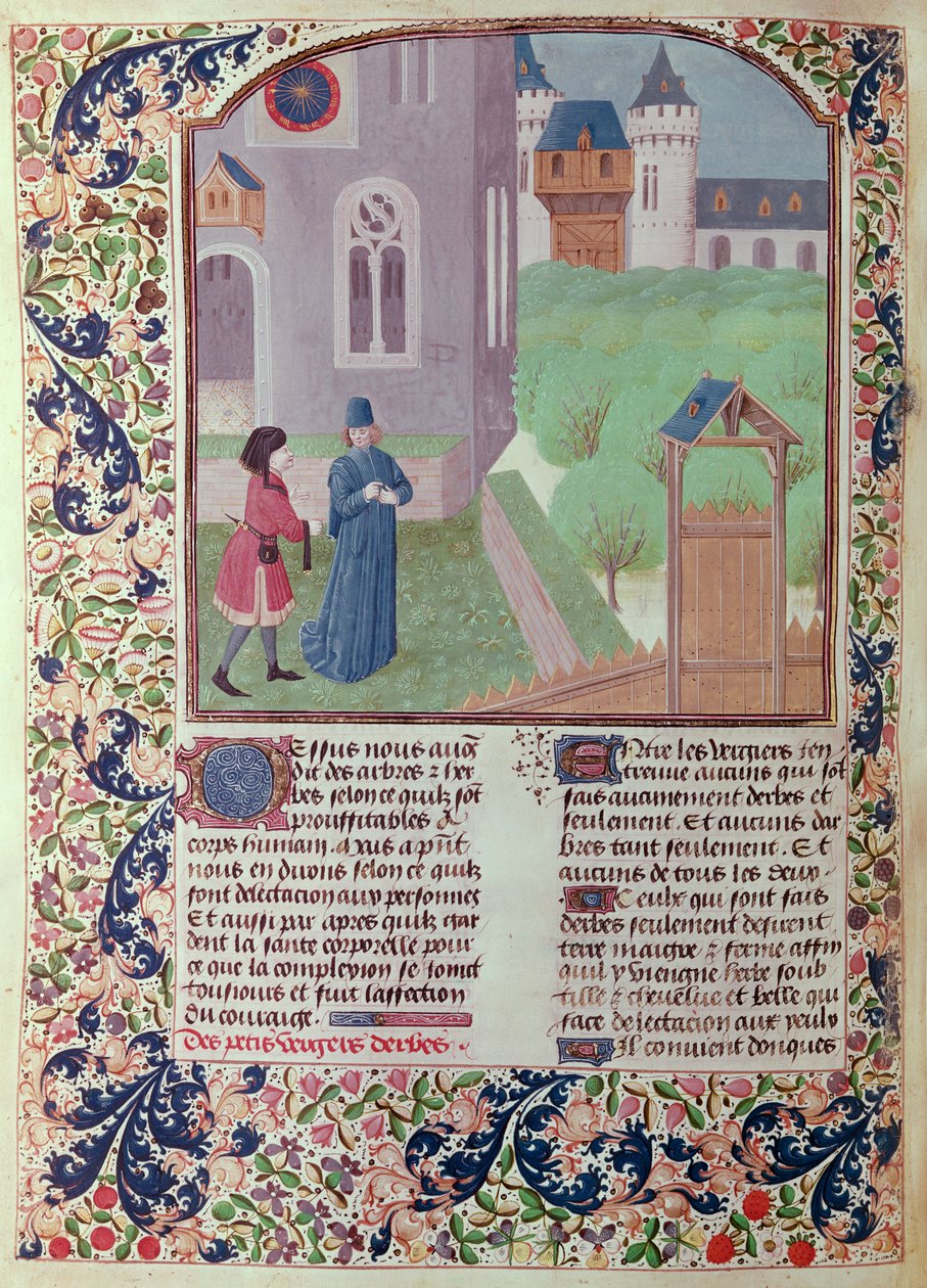 Ms 5064 f.202v De boomgaard, illustratie uit Le Livre des Prouffitz Champestres door Pietro de Crescenzi (1230-132021) door French School