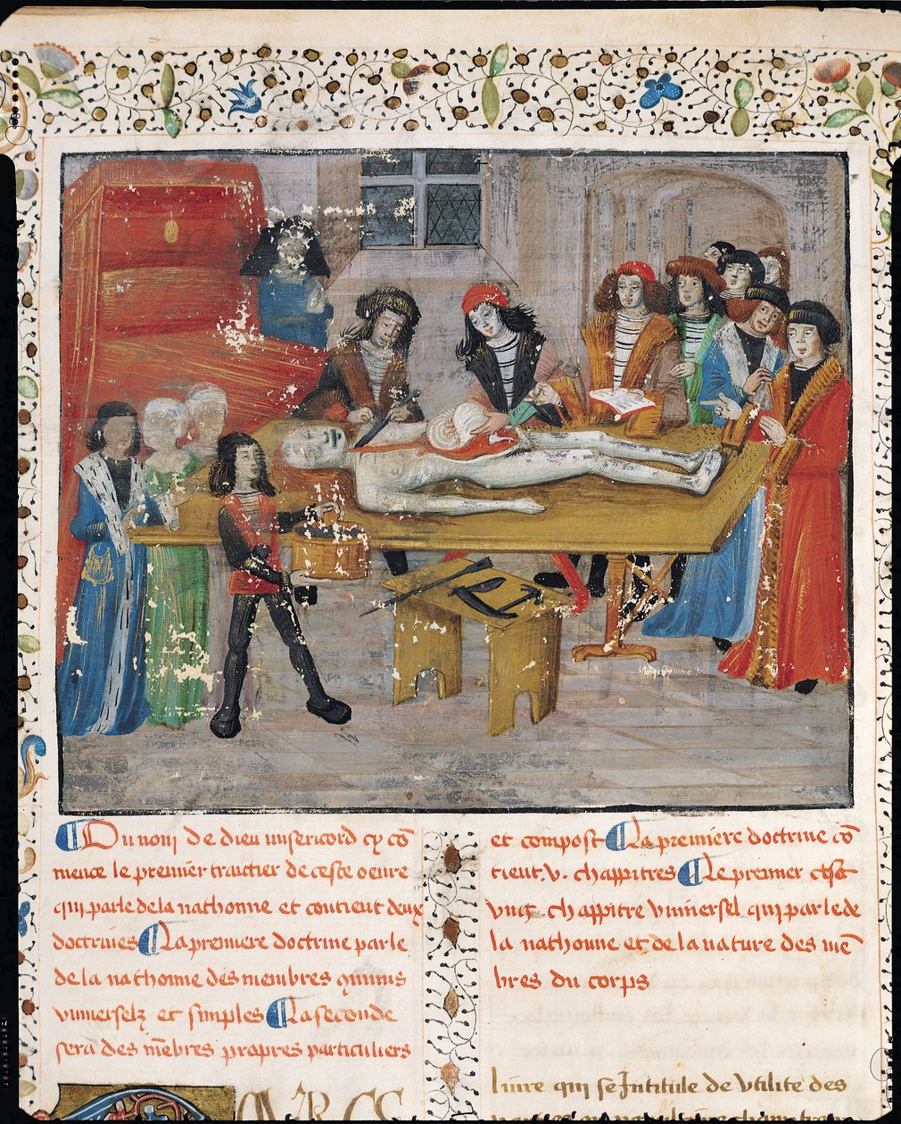 Ms H 184 fol.14v Dissectieles aan de Faculteit der Geneeskunde in Montpellier, uit 
