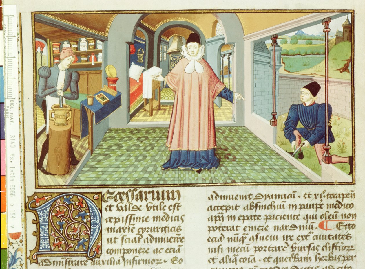 Ms Lat 6966 fol.154v Planten snijden en medicijnen bereiden, uit LAntidotaire door Bernard de Gordon door French School