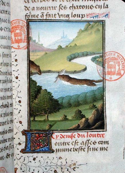 Otter die een vis vangt, uit het Livre de la Chasse door Gaston Phebus de Foix door French School