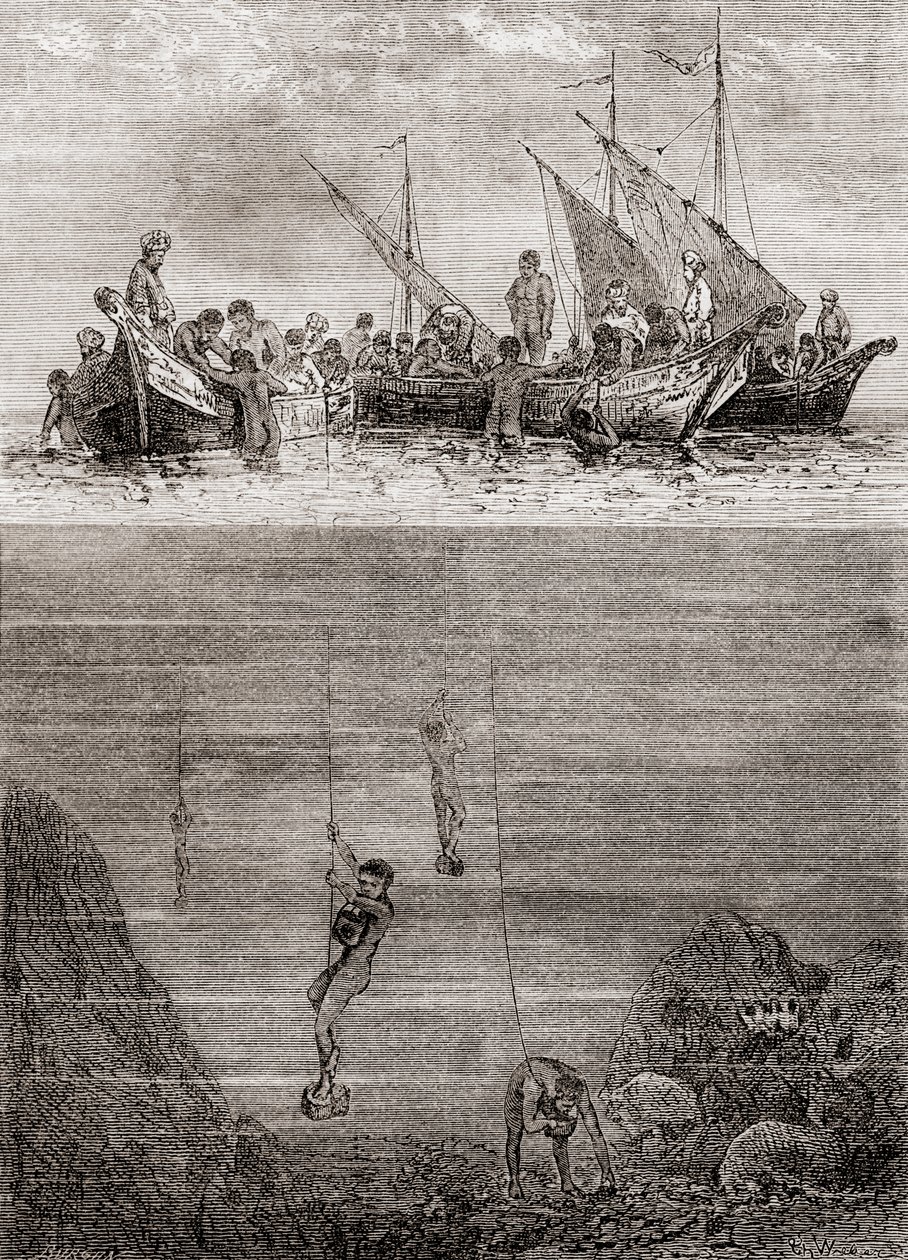 Parelduikers voor de kust van het eiland Ceylon in de 18e eeuw, uit 