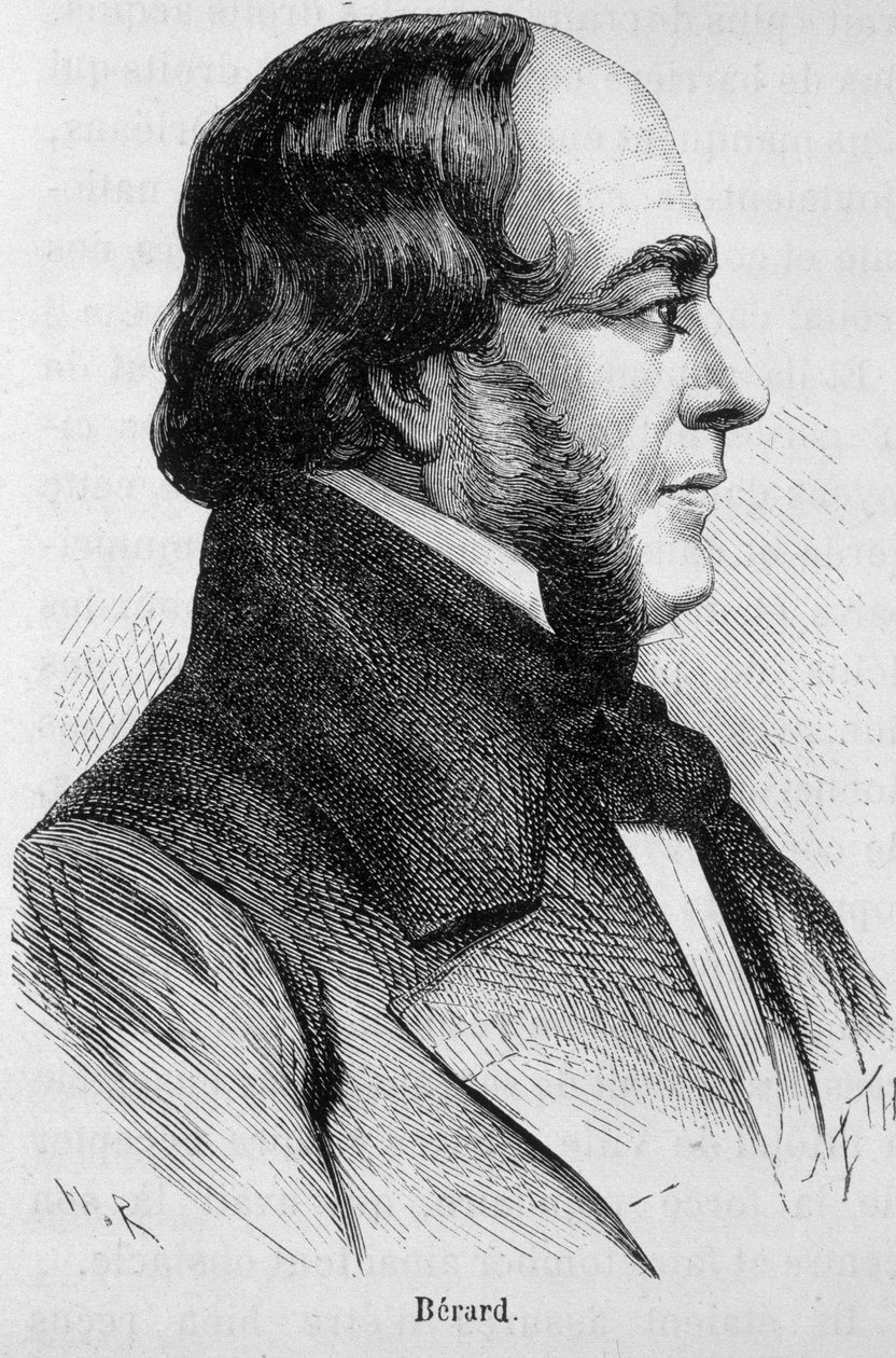 Portret van Bérard - in 