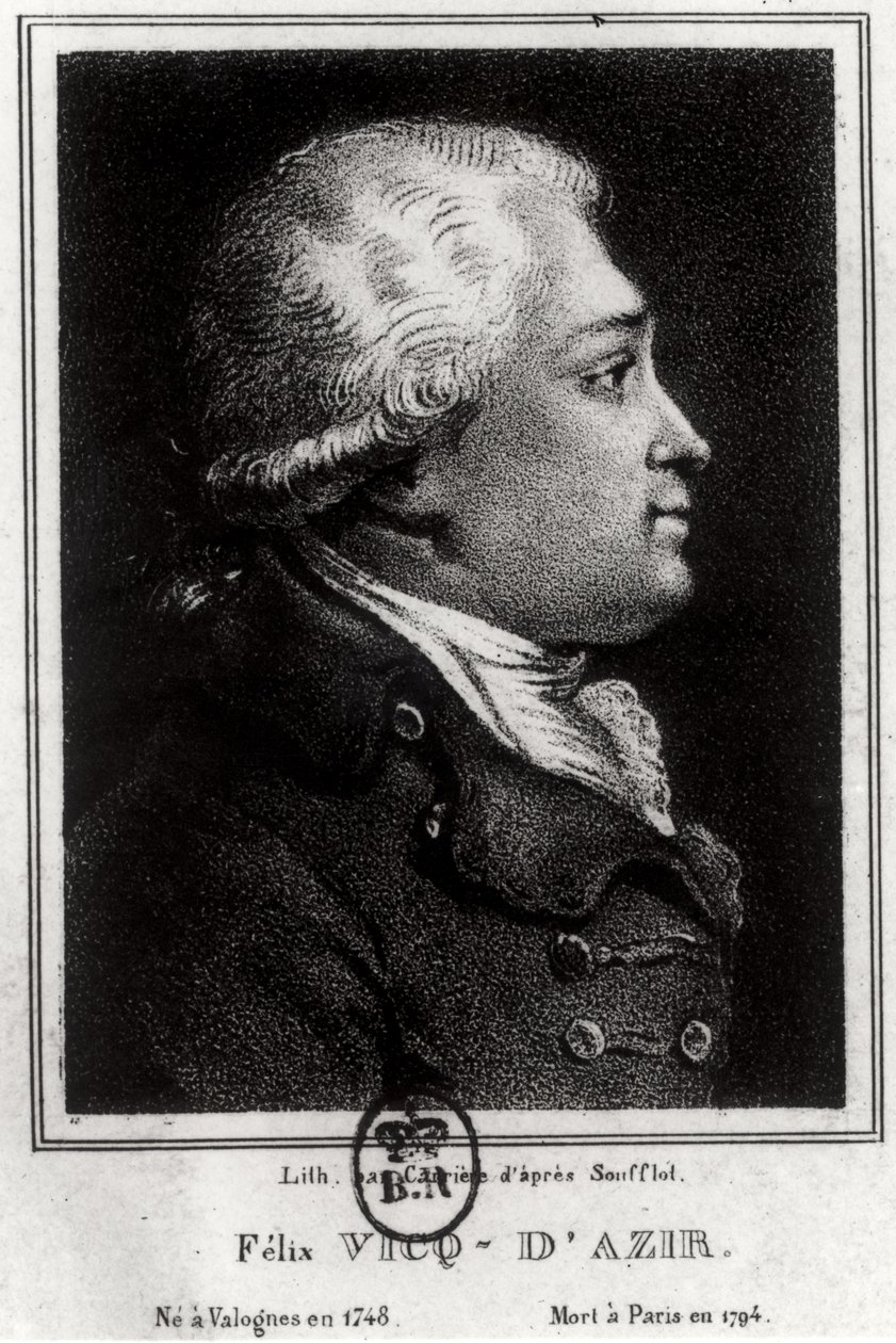 Portret van Felix Vicq d