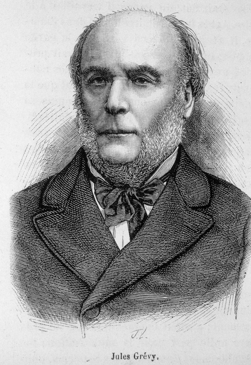 Portret van Jules Grèvy (1807 - 1891), Franse politicus - in 