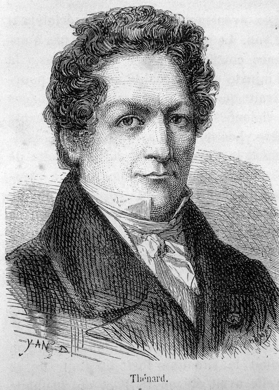 Portret van Louis Jacques Thénard (1777-1857), Franse chemicus door French School