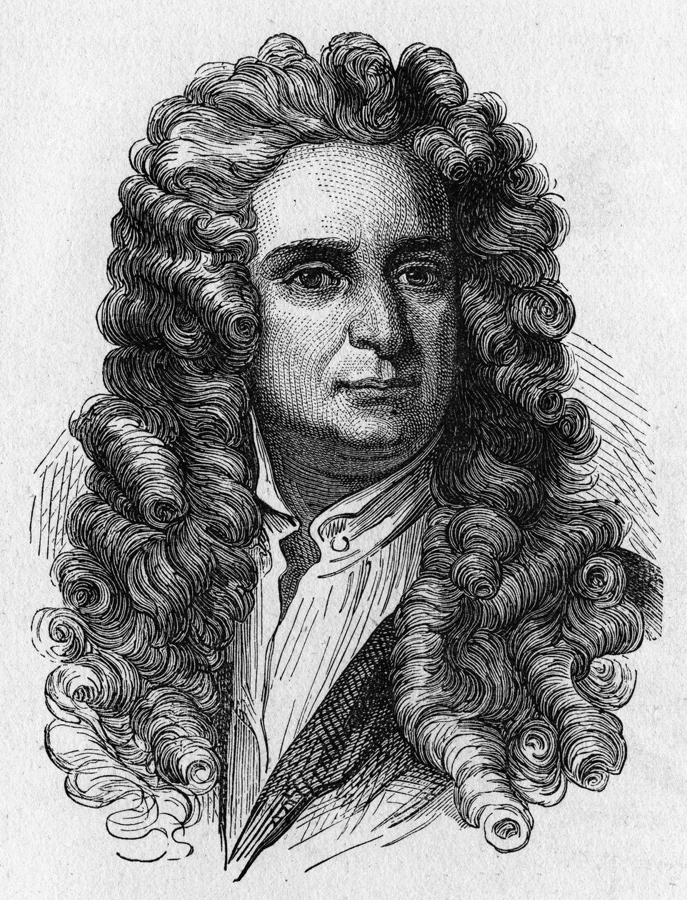 Portret van Newton - in 