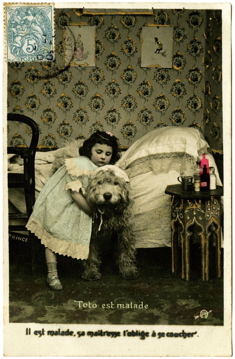 Ansichtkaart: Toto is ziek, hij is ziek, zijn meesteres dwingt hem naar bed te gaan, Prins door French School