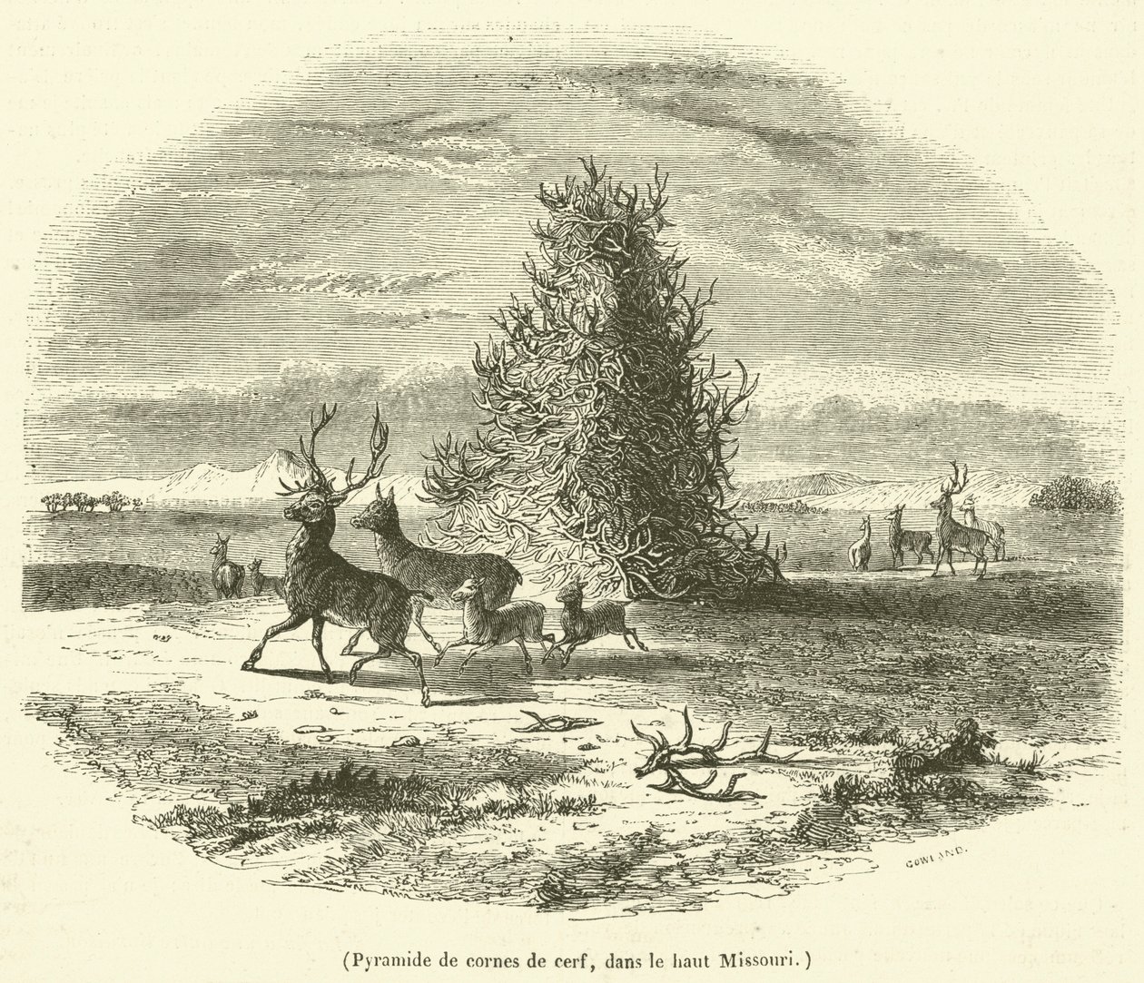 Piramide van hertenhoorns, in de bovenloop van Missouri (gravure) door French School