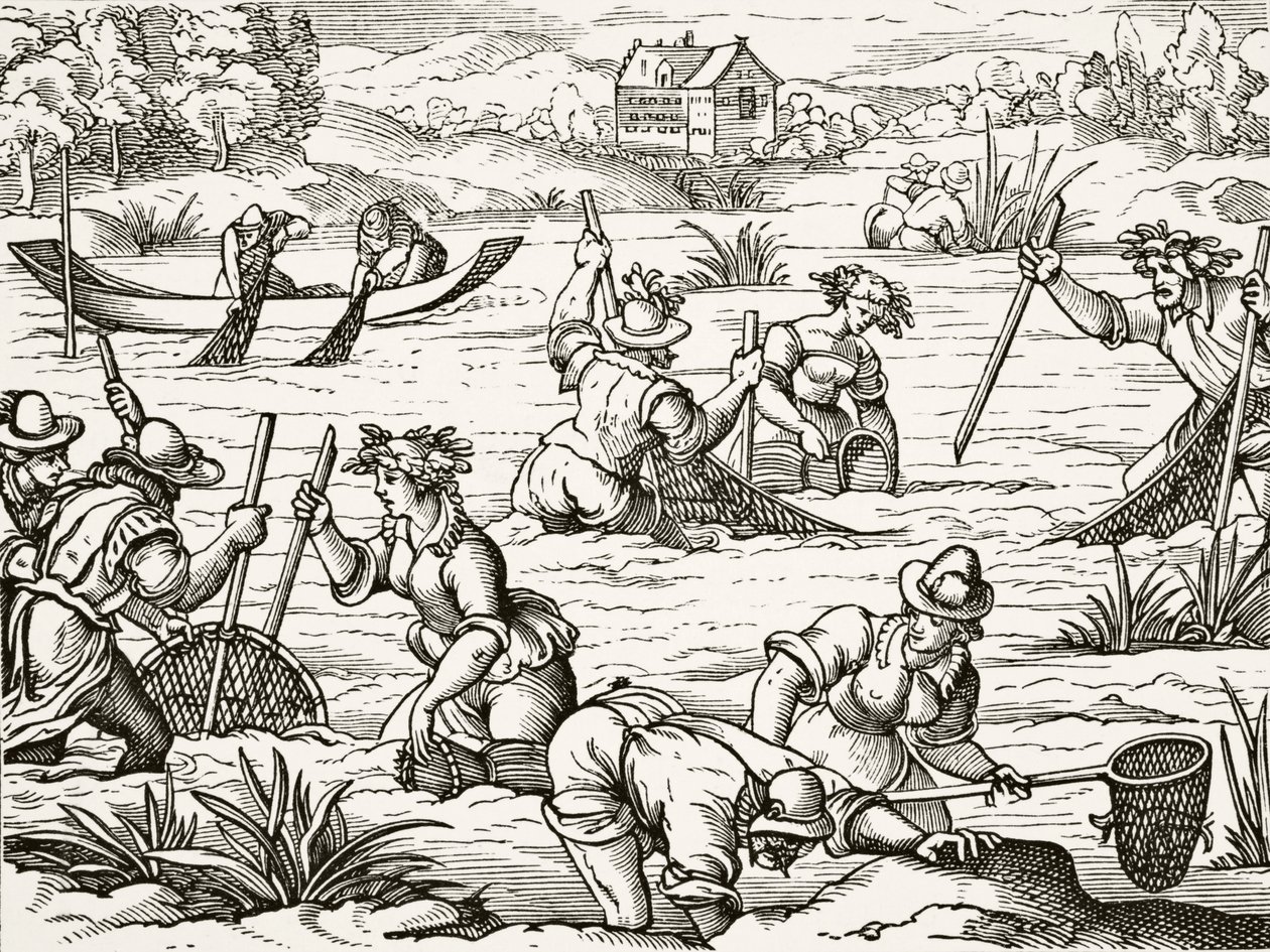 Rivier vissen, uit 