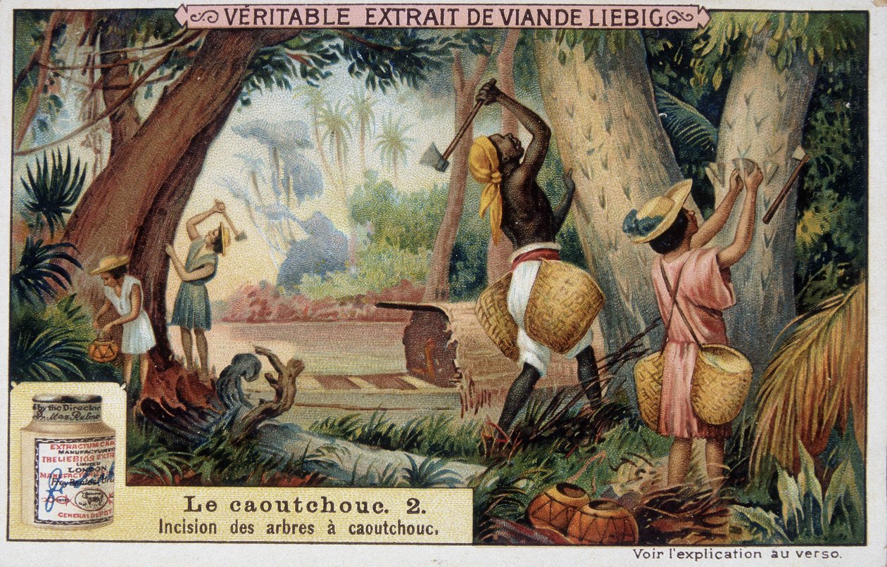 Rubber: insnijding van rubberbomen - chromo Liébig door French School
