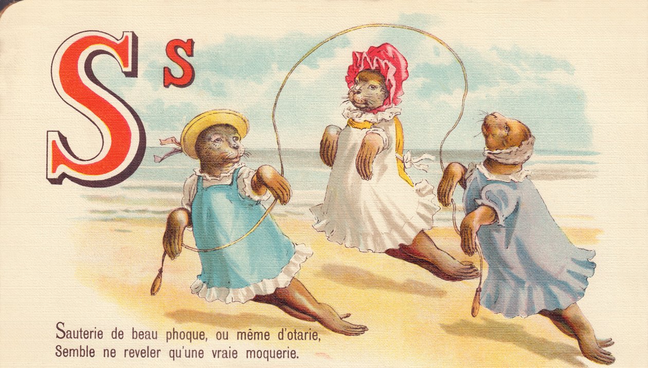 S: Sauté van mooie zeehond, of zelfs van zeehonden, lijkt alleen een echte spot te onthullen door French School