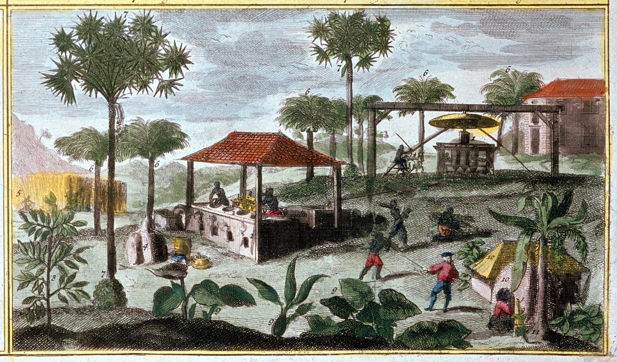 Suikerproductie in West-Indië, detail van 00155 - in 