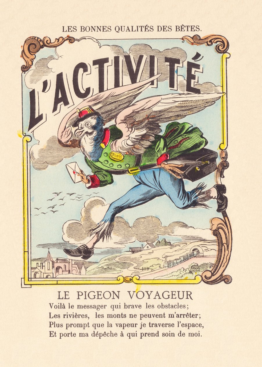 De activiteit. De passagiersduif ca. 1900 door French School