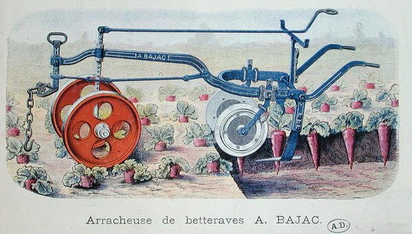 De Bajac Machine voor het tillen van suikerbieten, c.1900 door French School