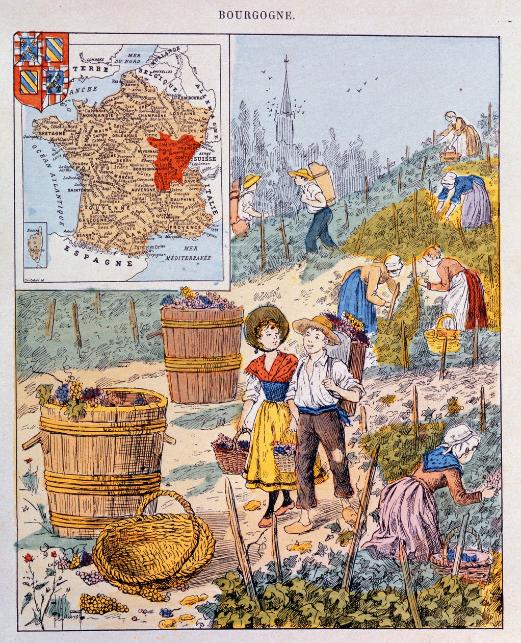 De druivenoogst in Bourgondië, illustratie uit een schoolboek, c.1910 door French School