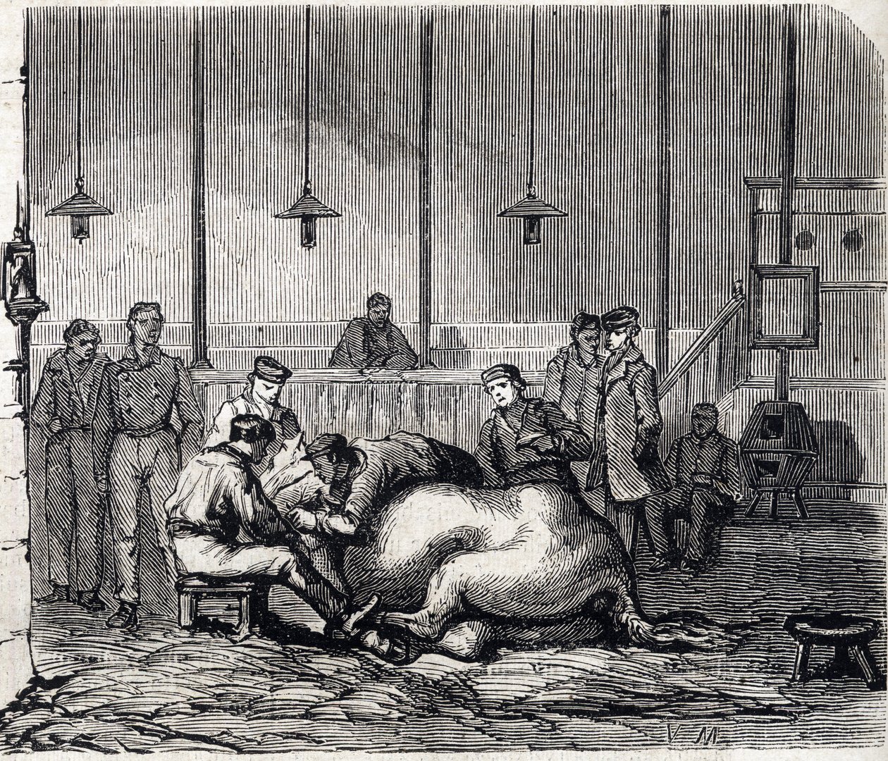 De Nationale Veterinaire School van Alfort - Les grandes écoles de France - École vétérinaire de Maison-Alfort in 1866 - de dissectiezaal - Gravure in 