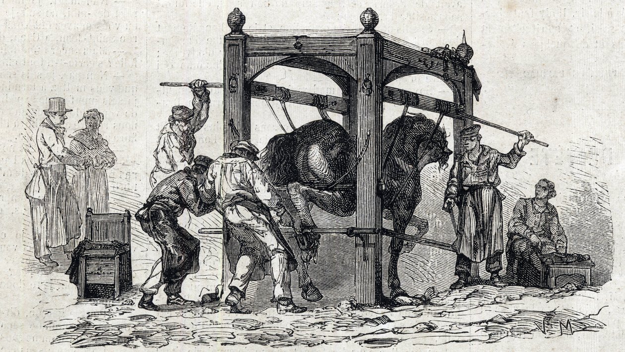 De Nationale veterinaire school van Alfort - Les grandes écoles de France - école veterinaire de maison alfort in 1866 - het beslaan van weerspannige paarden - Gravure in 