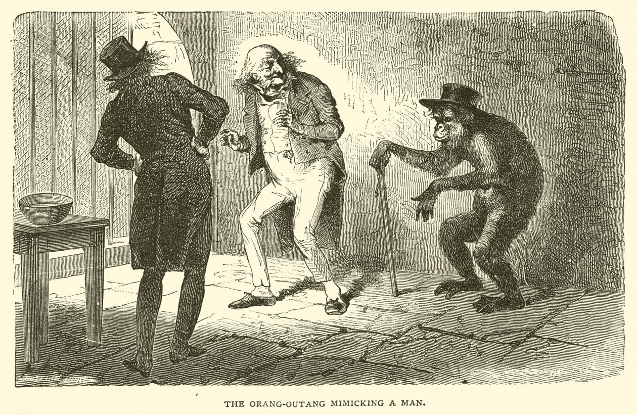 De Orang-Outang die een Man nadoet (gravure) door French School