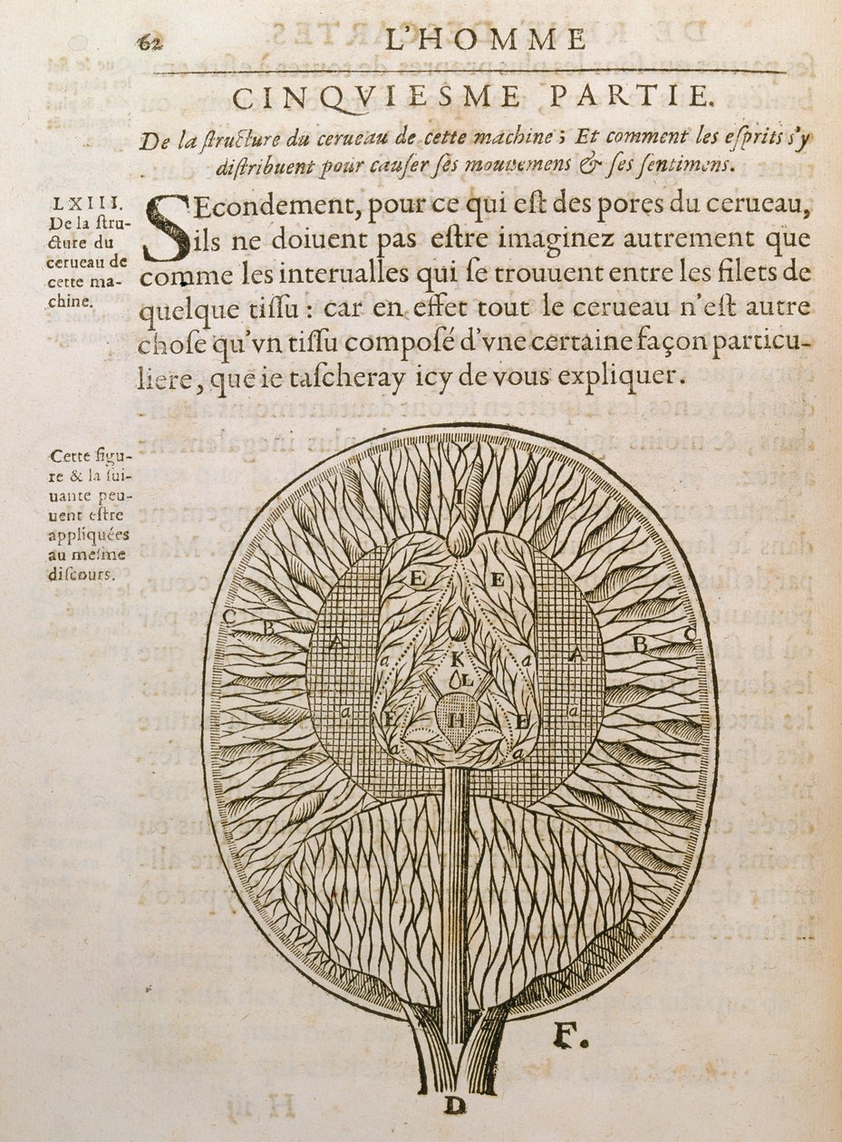 De structuur van de hersenen, uit De Homine Figuris door Rene Descartes (1596-1650) gepubliceerd in Den Haag, 1662 door French School