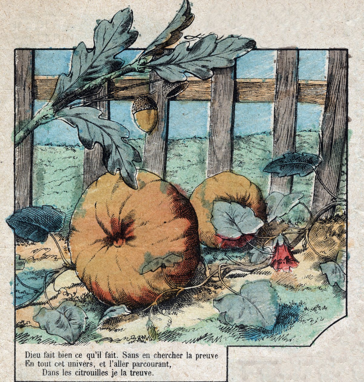 De eikel en de pompoen. Fabels van Jean de La Fontaine. door French School