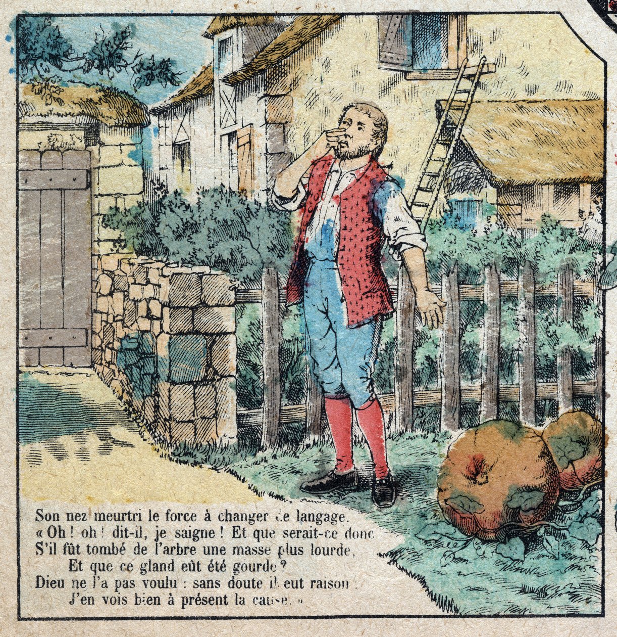 De eikel en de pompoen. Fabels van Jean de La Fontaine. Epinal afbeelding eind 19e eeuw. door French School