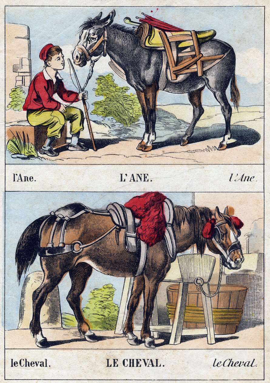 De ezel en het paard. Gravure in "Buffon Alphabet des Animaux". 3e Serie N 1. Imaging of Epinal, Epinal, eind 19e eeuw. 16 pagina
