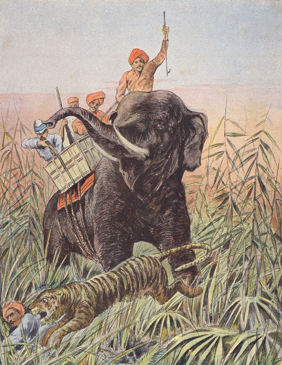 Tijgerjacht, India (kleurenlitho) door French School