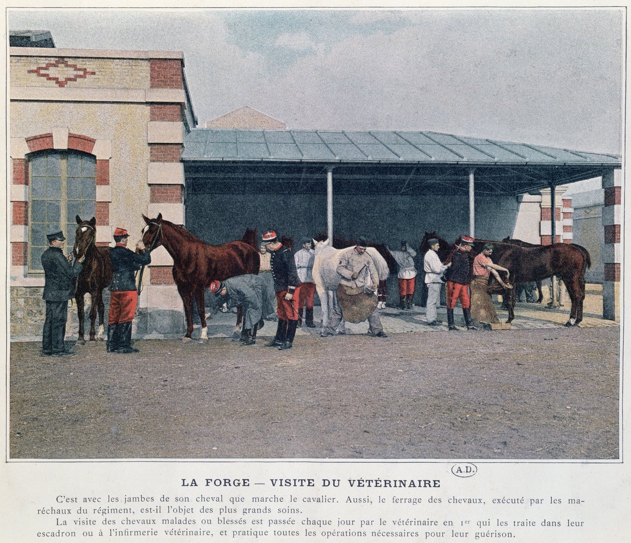 Bezoek van de legerdierenarts aan de kazerne, 1897 door French School