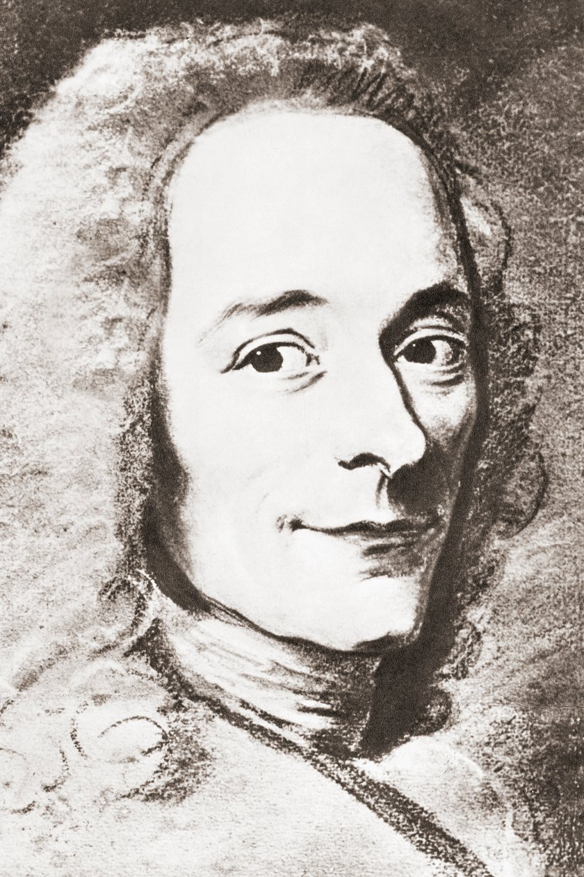 Voltaire door French School