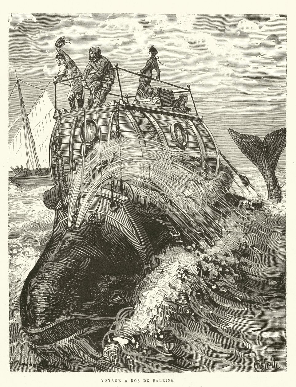 Voyage a Dos de Baleine (gravure) door French School
