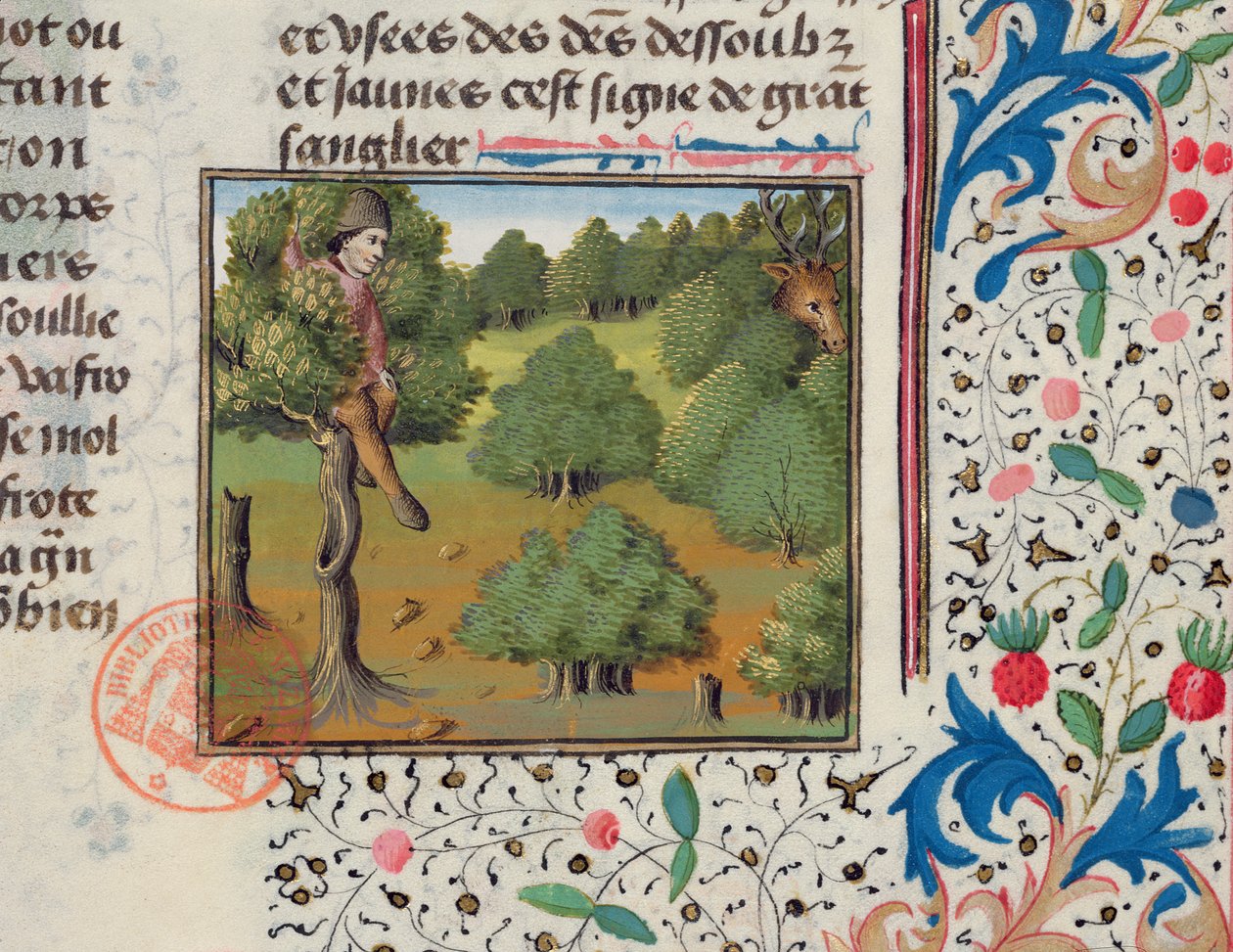 Wachten op herten, verborgen in een boom, uit het Livre de la Chasse door Gaston Phebus door French School