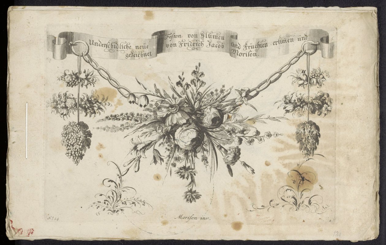 Unterschidliche neue Feston von Blumen und Früchten door Friedrich Jacob Morisson