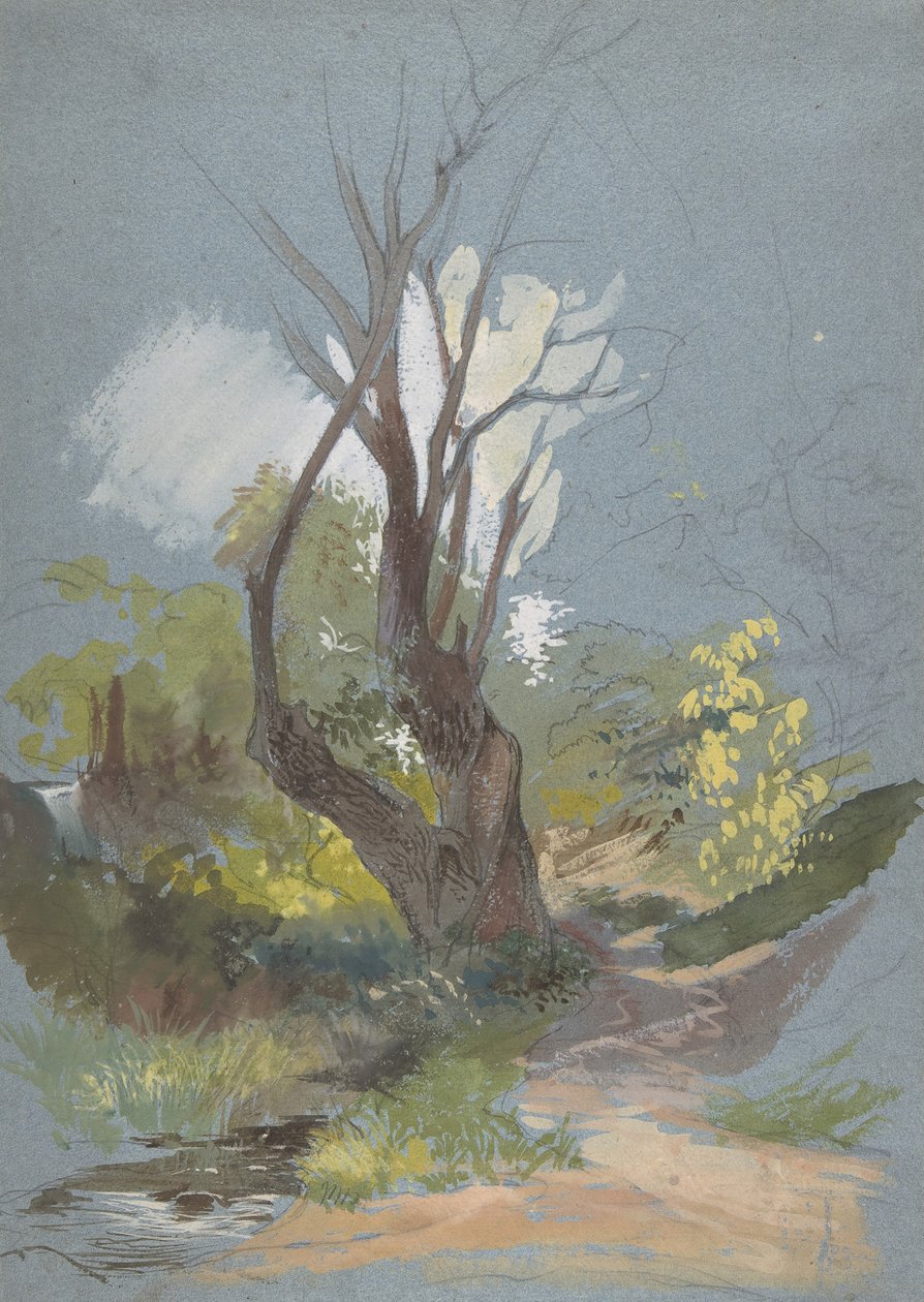 Bergpad met een boom door Friedrich Nerly