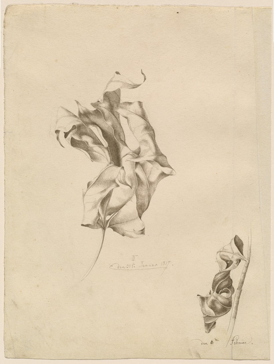 Verdorde bladeren door Friedrich Olivier
