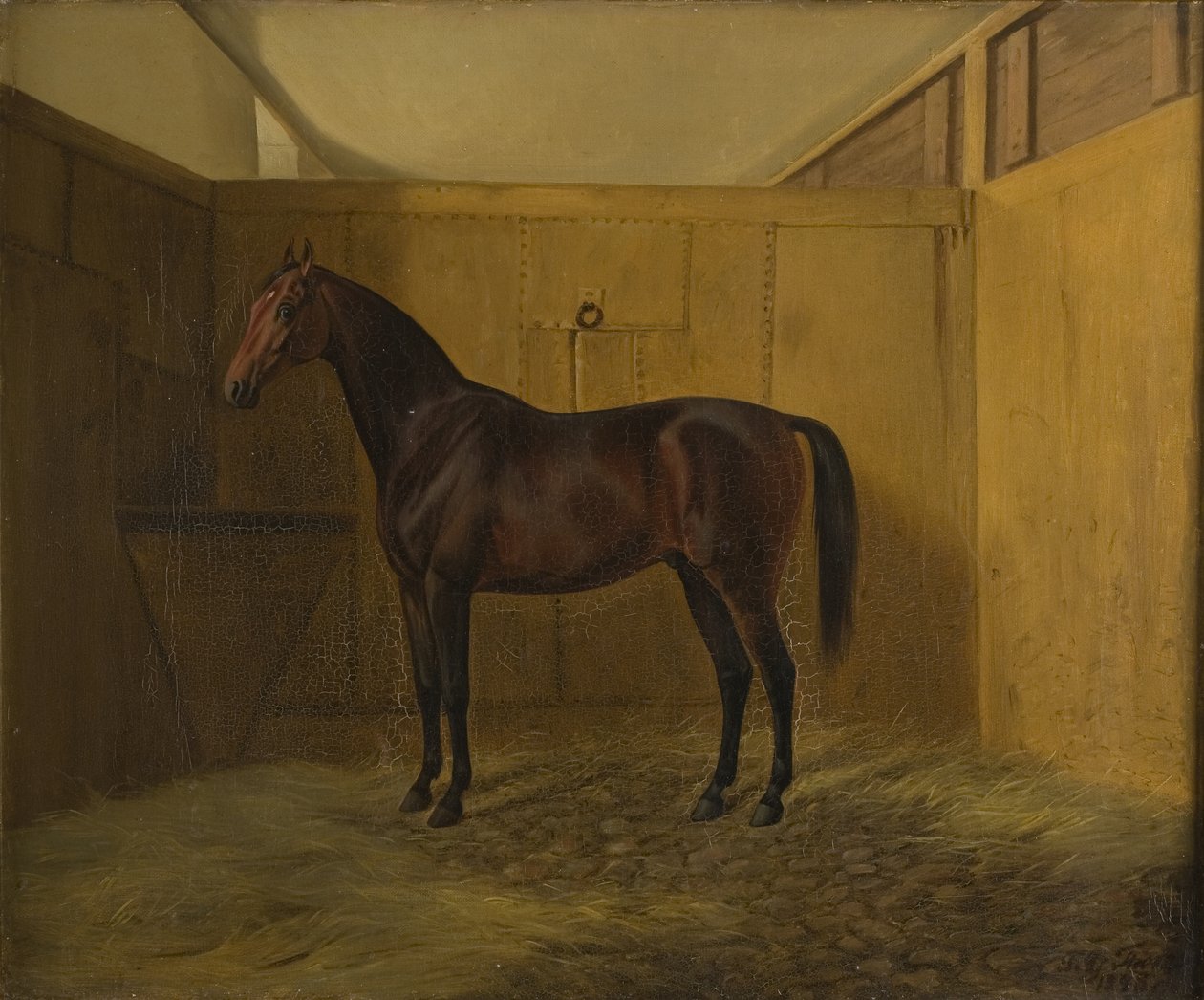 Hersilia door Fritz Thomsen