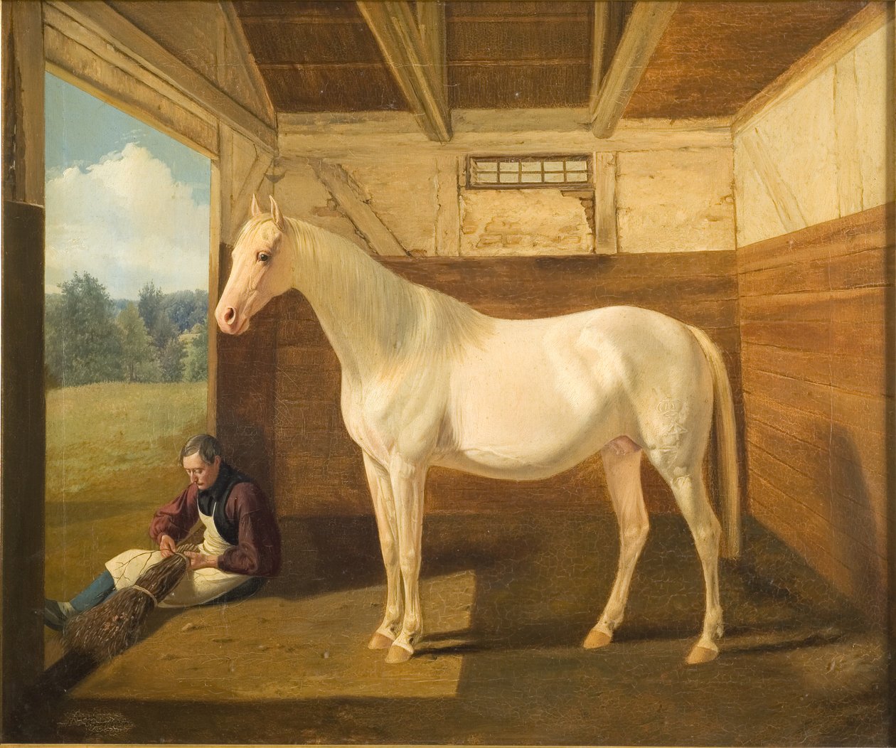 Svanhvide door Fritz Thomsen