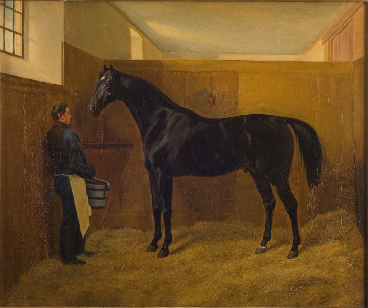 Zampa door Fritz Thomsen