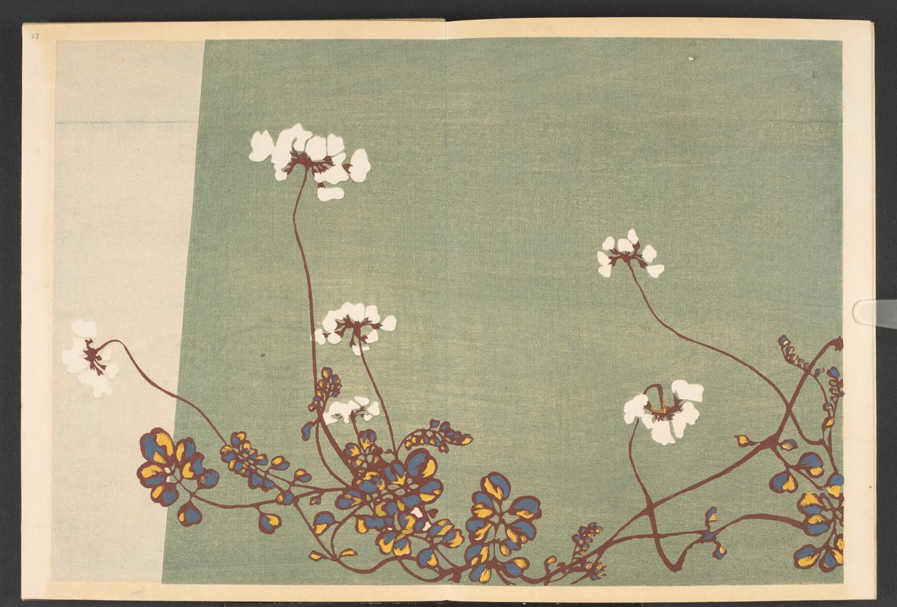 Shasei sôka môyô, Patronen van planten en bloemen uit het leven door Furuya Korin