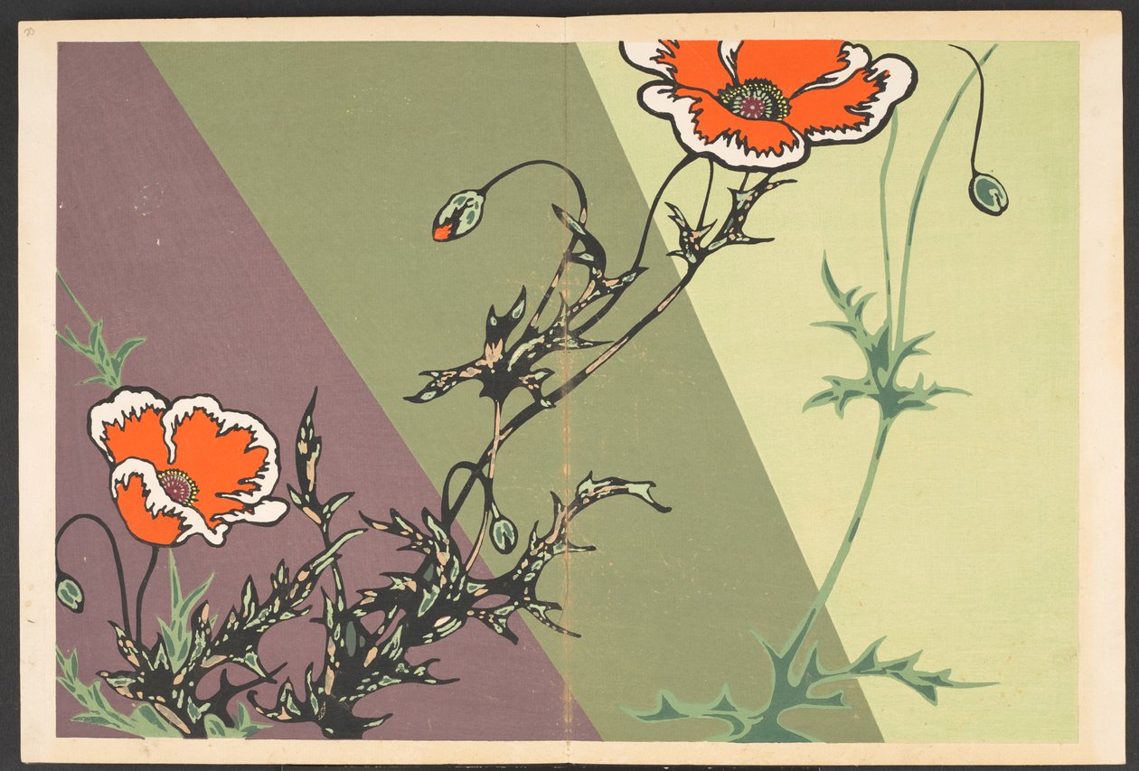 Shasei sôka môyô, Patronen van planten en bloemen uit het leven door Furuya Korin