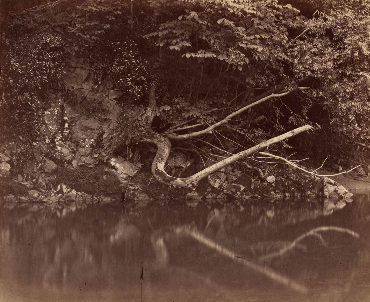 Rivieroever in de Vale of Neath,c. 1855 (foto) door G.B. Gething