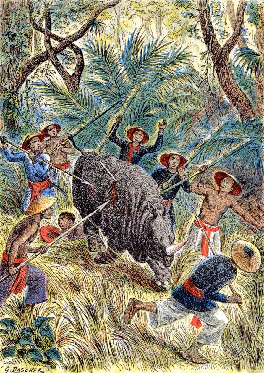 Neushoornjacht, Frans Indochina door G. Dascher