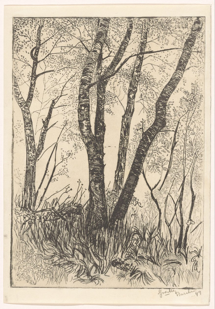 Bomen in hoog gras door G. van der Mey (signed by artist)