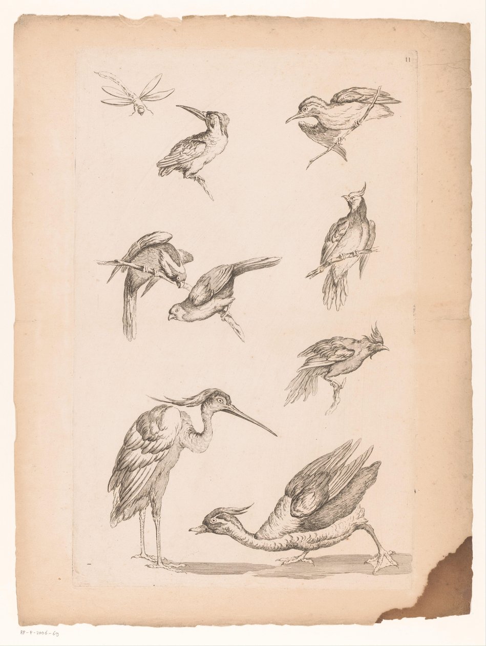 Acht Chinese vogels, waaronder ijsvogels, een reiger, een eend en een libelle door Gabriel Huquier (attributed to)