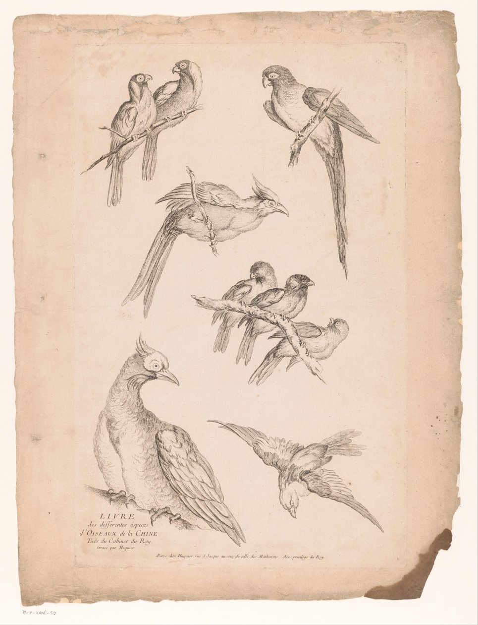 Negen Chinese vogels door Gabriel Huquier (attributed to)