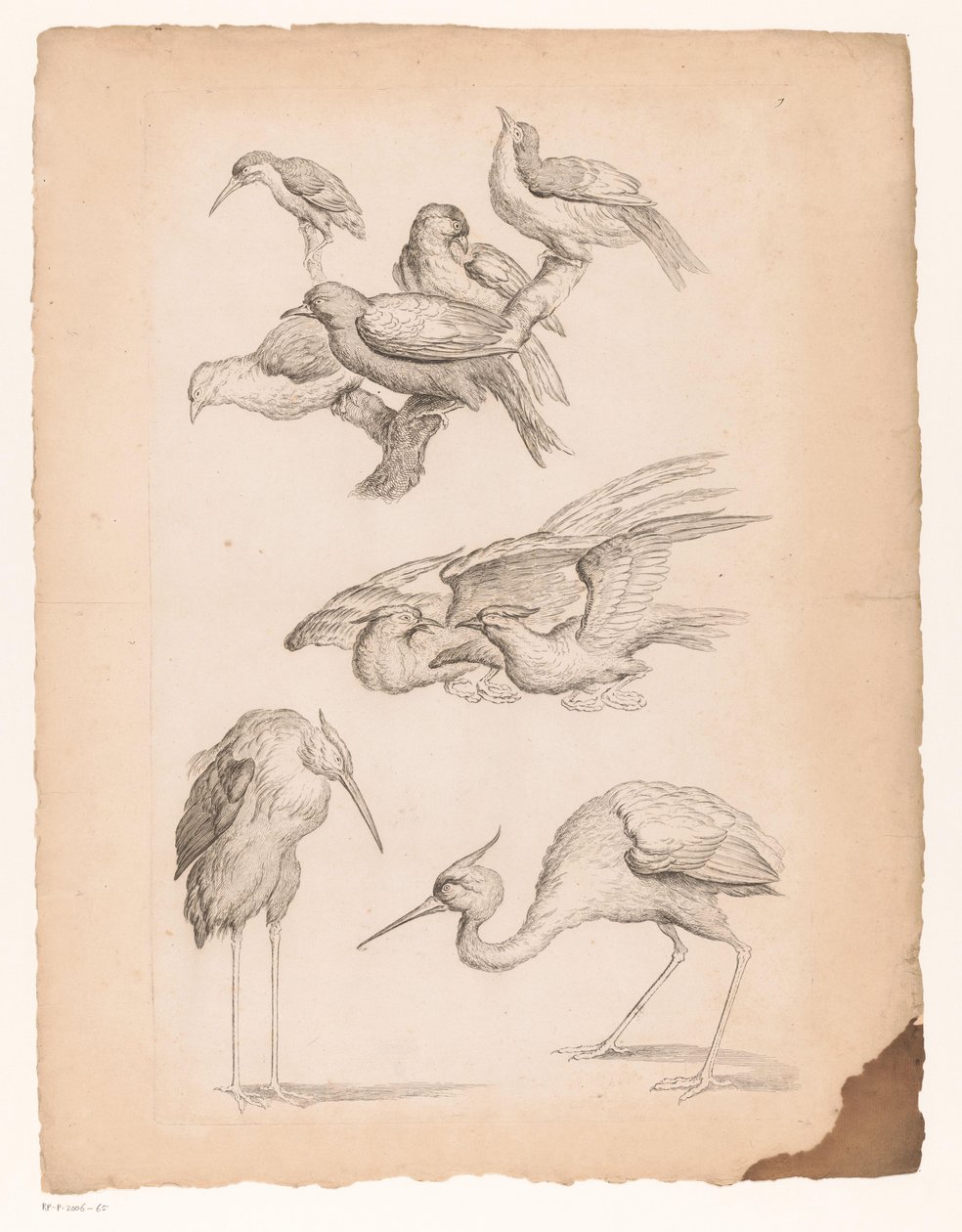 Negen Chinese vogels, waaronder reigers en een ijsvogel door Gabriel Huquier (attributed to)