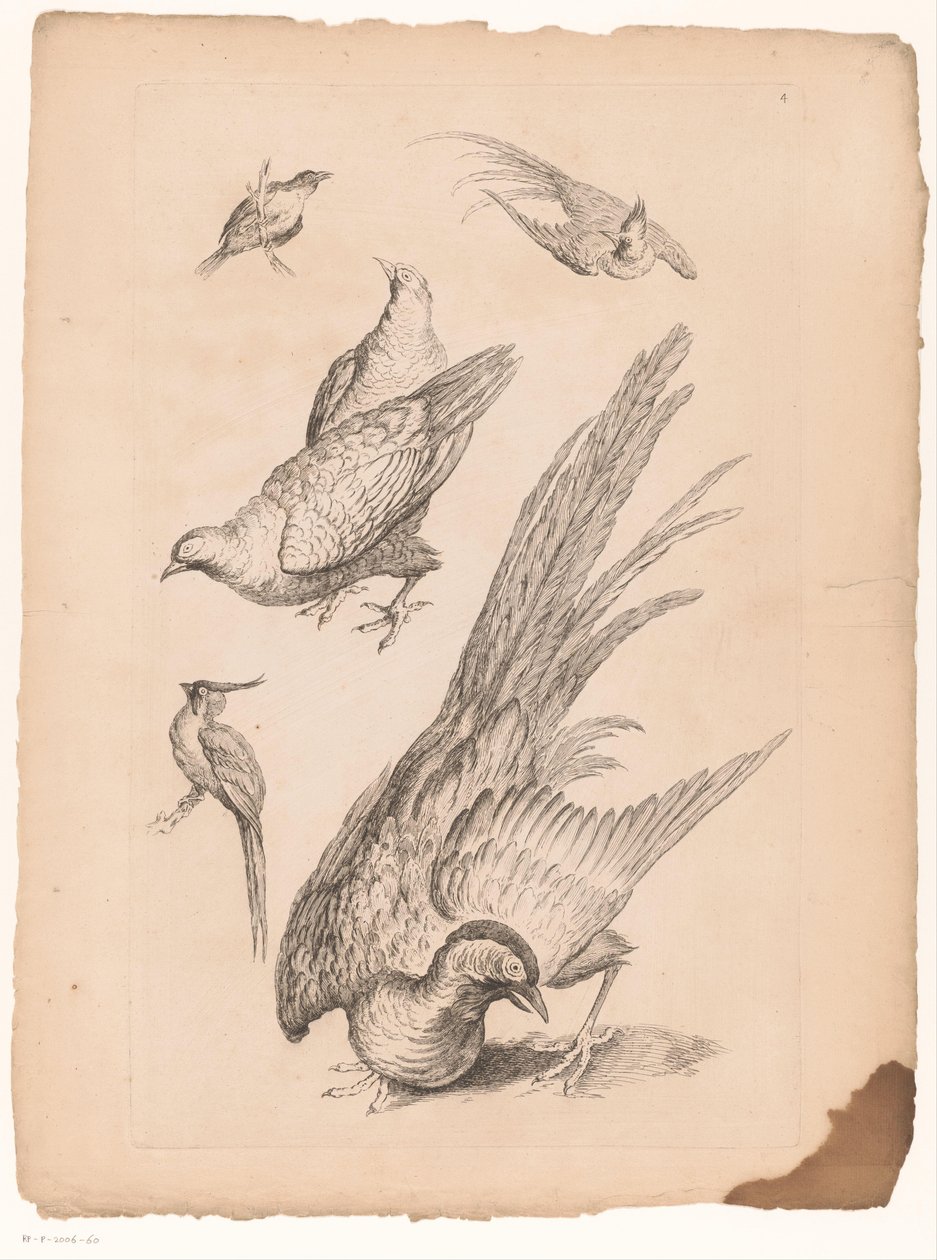 Zes Chinese vogels door Gabriel Huquier (attributed to)