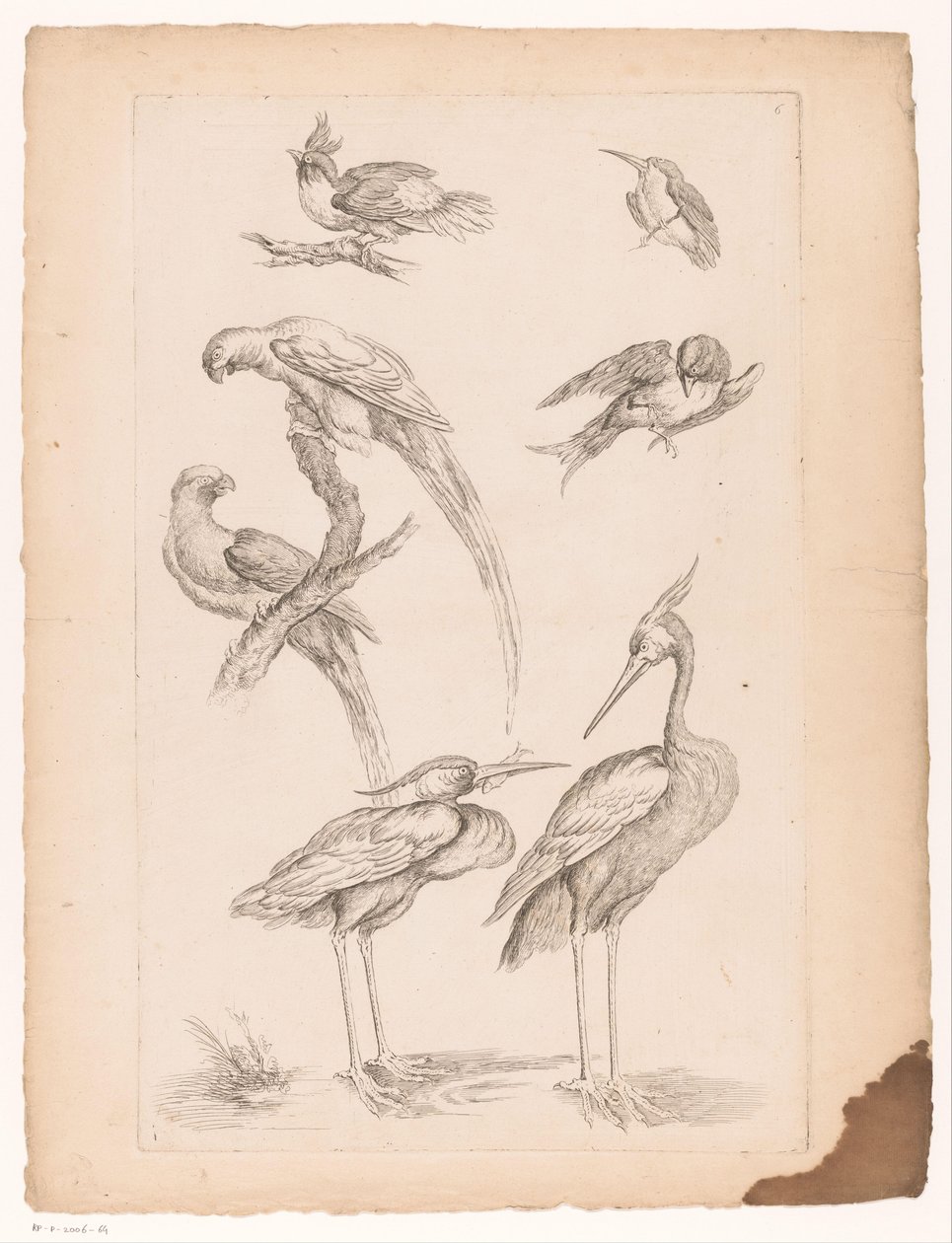 Zeven Chinese vogels, waaronder reigers en papegaaiachtigen door Gabriel Huquier (attributed to)
